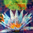 pU9fDjUZXCc-channel-avatar-Lotus Education Institute