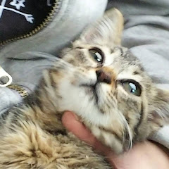 リエル
