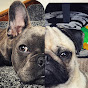 Enkei The Pug Ft Sanka The Frenchie logo
