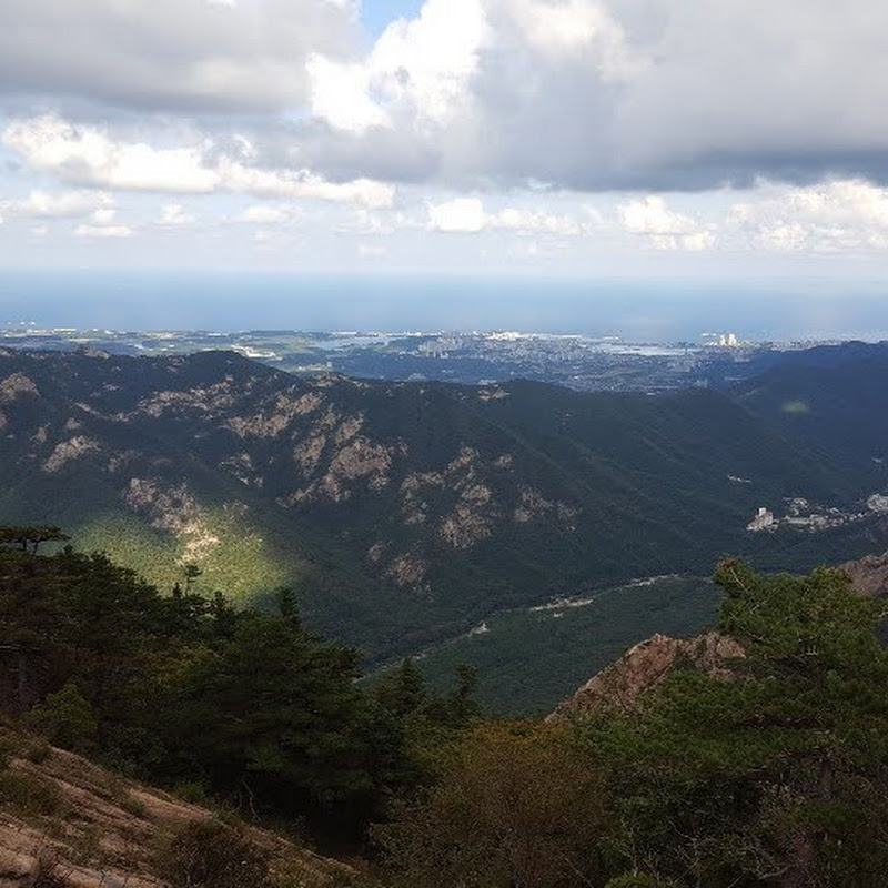 PARK “라이온”