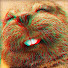 1Gkt-25X9ZU-channel-avatar-Spifey