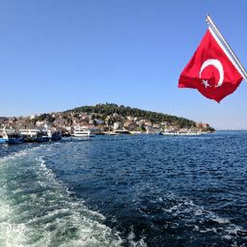 DreamLife Turkey avatar
