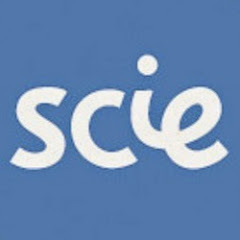 Social Care Institute for Excellence (SCIE)