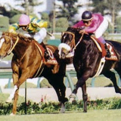 データ競馬予想ダイジェスト