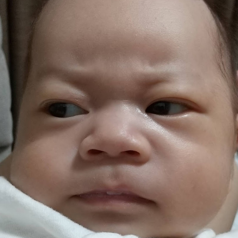 うちの息子をサムライに育てる