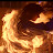 @cheztripp Avatar