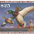 xRm2eyA-NwY-channel-avatar-Mallard