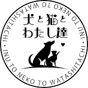 犬と猫とわたし達の人生の楽しみ方