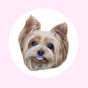 Lily the Yorkie logo