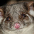 jpB_y9eNheI-channel-avatar-Anthony Newton Video