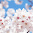 @seolhwasu2950