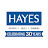 Hayes Handpiece Repair