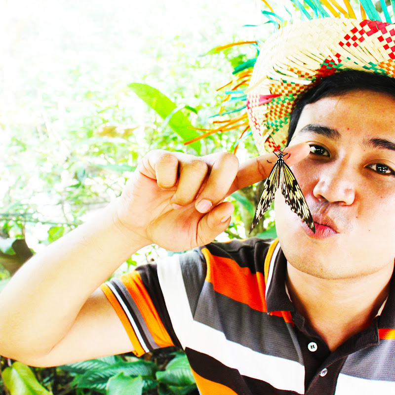 GELO DELMO icon