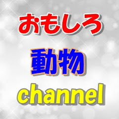 おもしろ動物channelアイコン画像