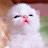 @이게나라냐-t5y