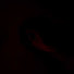 oq0Okplr4JY-channel-avatar-venus24000