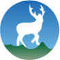 DEERWALK INSTITUTE OF TECHNOLOGY logo