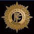 vPVZSCaC-uE-channel-avatar-Óglaigh na hÉireann / Irish Defence Forces