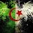 Algerien Rai