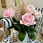 @pomscottr.1250