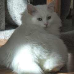 Thumbnail of related channel