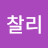 @최찰리-x1s