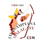 Fifanampiana Malagasy logo