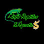Misfit Reptiles & Aquatics logo