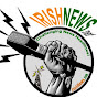 Irish News logo