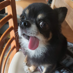 ひろんちゃん