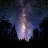 @TheMostDeletedComments Avatar