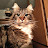 @RDijt's avatar