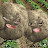 @user-wy6cv2lb2z