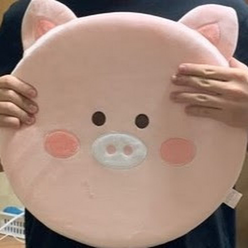 bj영돼