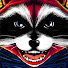 rgW_mG7hY_c-channel-avatar-RedRaccoon - Gaming Entertainment