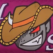 ジョイチャンネル