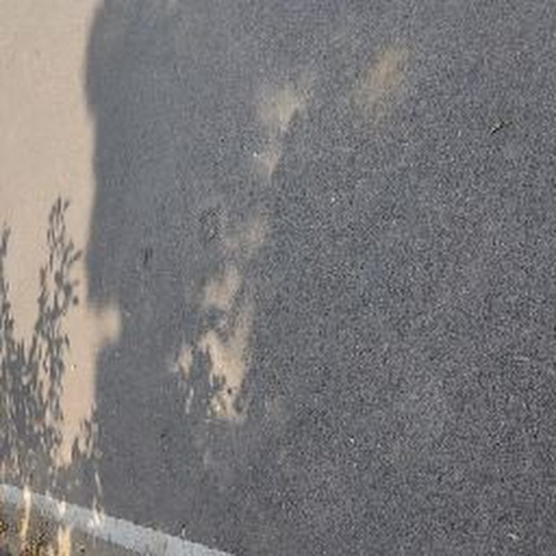 Abhishekh Singh