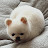 @user-jy5tp2me4t
