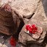 4LLGQvUDtdM-channel-avatar-digvijay patil