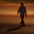 bynhosXXxtY-channel-avatar-A Walk on the Wild Side