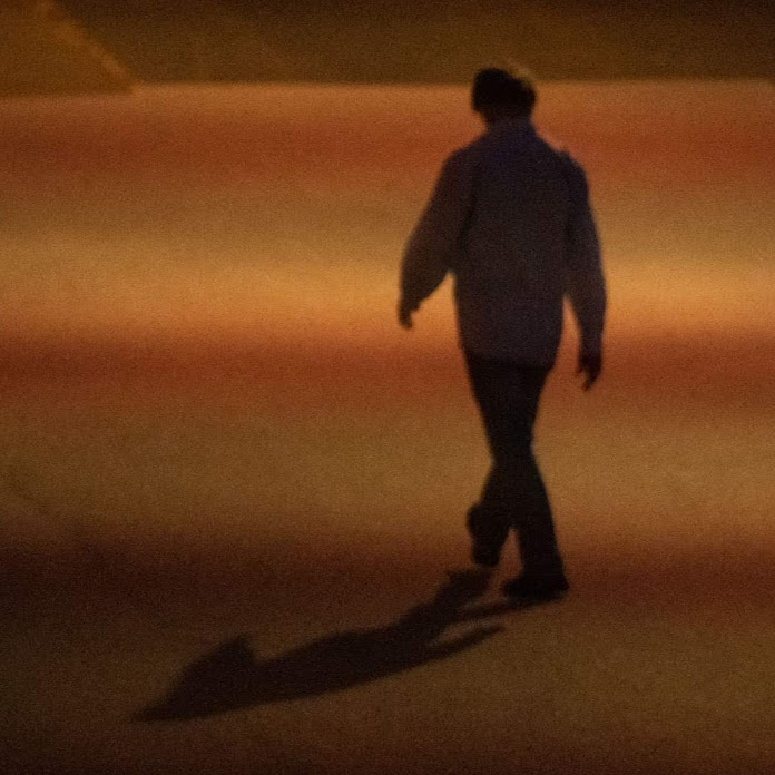 A Walk on the Wild Side Net Worth & Earnings (2026)