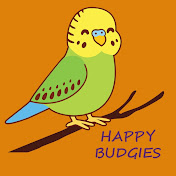 Happy Budgies With Tuhin