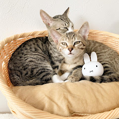 とらまるらんまる