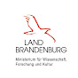 MWFK Brandenburg logo