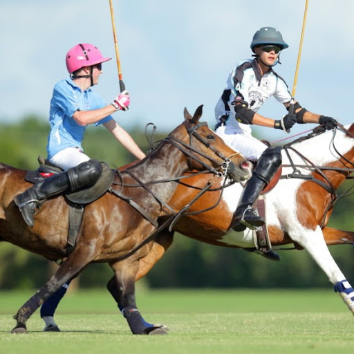 msg polo eventing