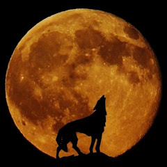 あんビリーばぶる通信