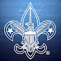 DE660 SCOUTS logo
