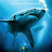 @sharkattack6423