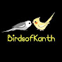 Birds of Kanth