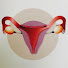 ZOLbD6d4dw0-channel-avatar-AsktheGynaecologist Nigeria